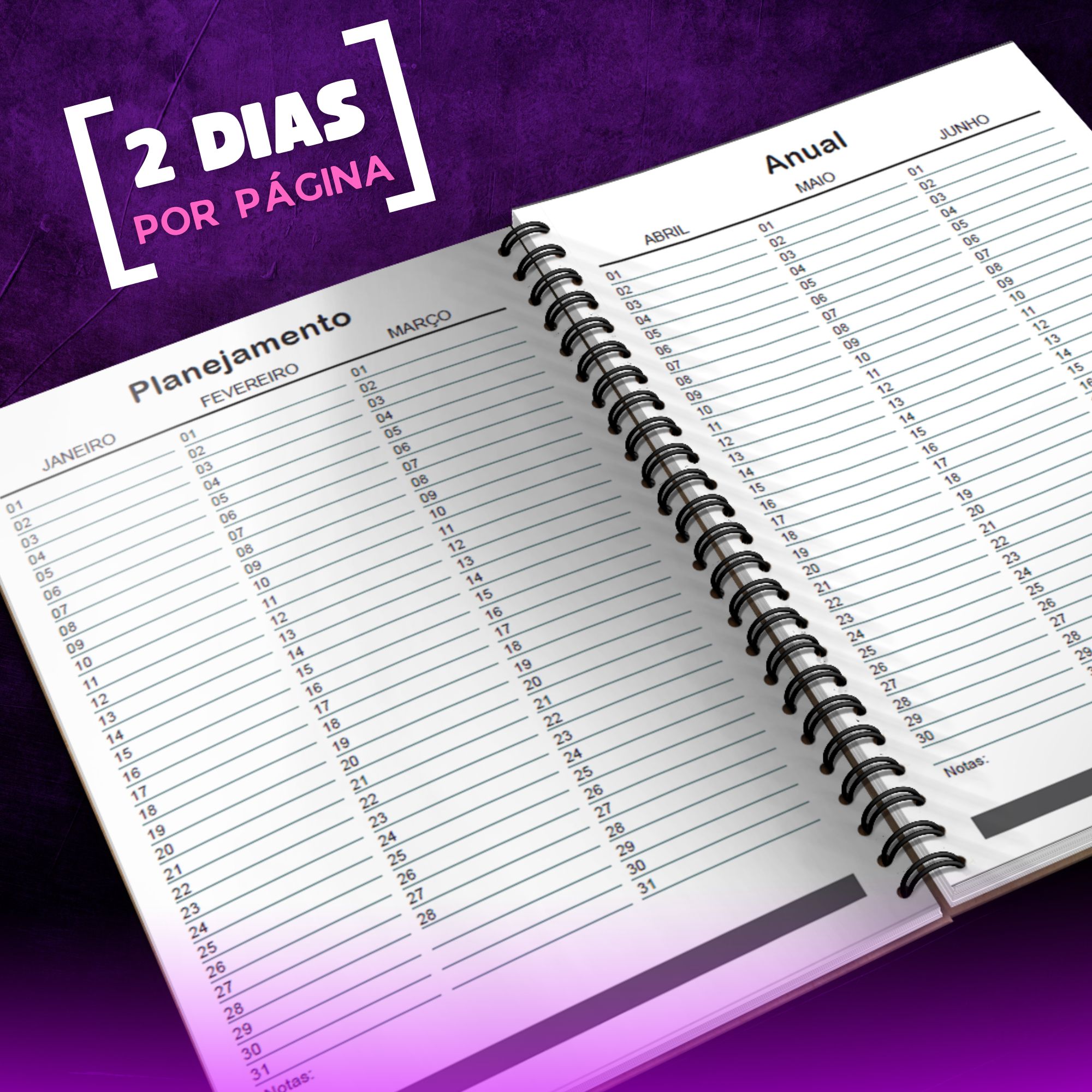 Agenda 2027 pdf com 2 dias por página para download
